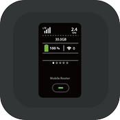 ◆ドコモ FS040W(30GB/月) デイリー